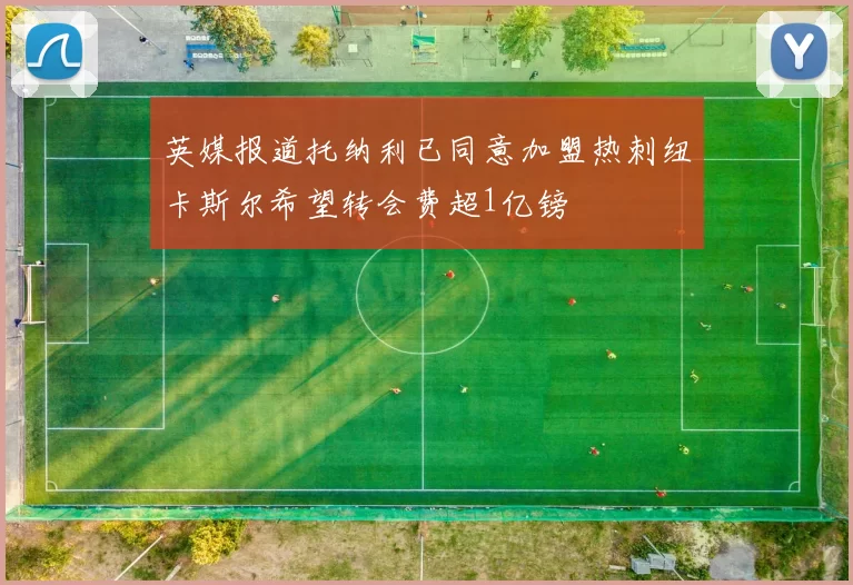 英媒报道托纳利已同意加盟热刺纽卡斯尔希望转会费超1亿镑